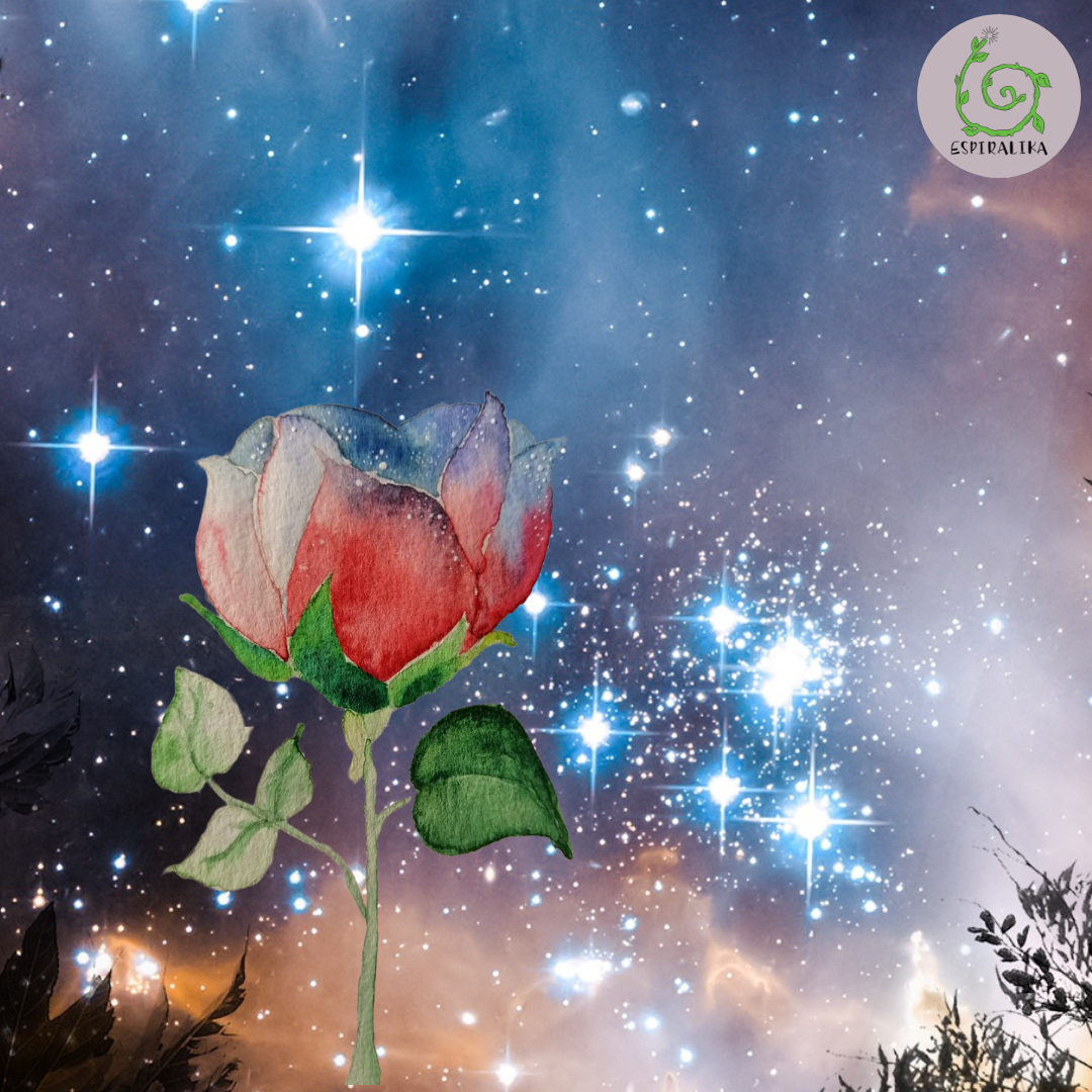 La Rosa del Corazón Cósmico