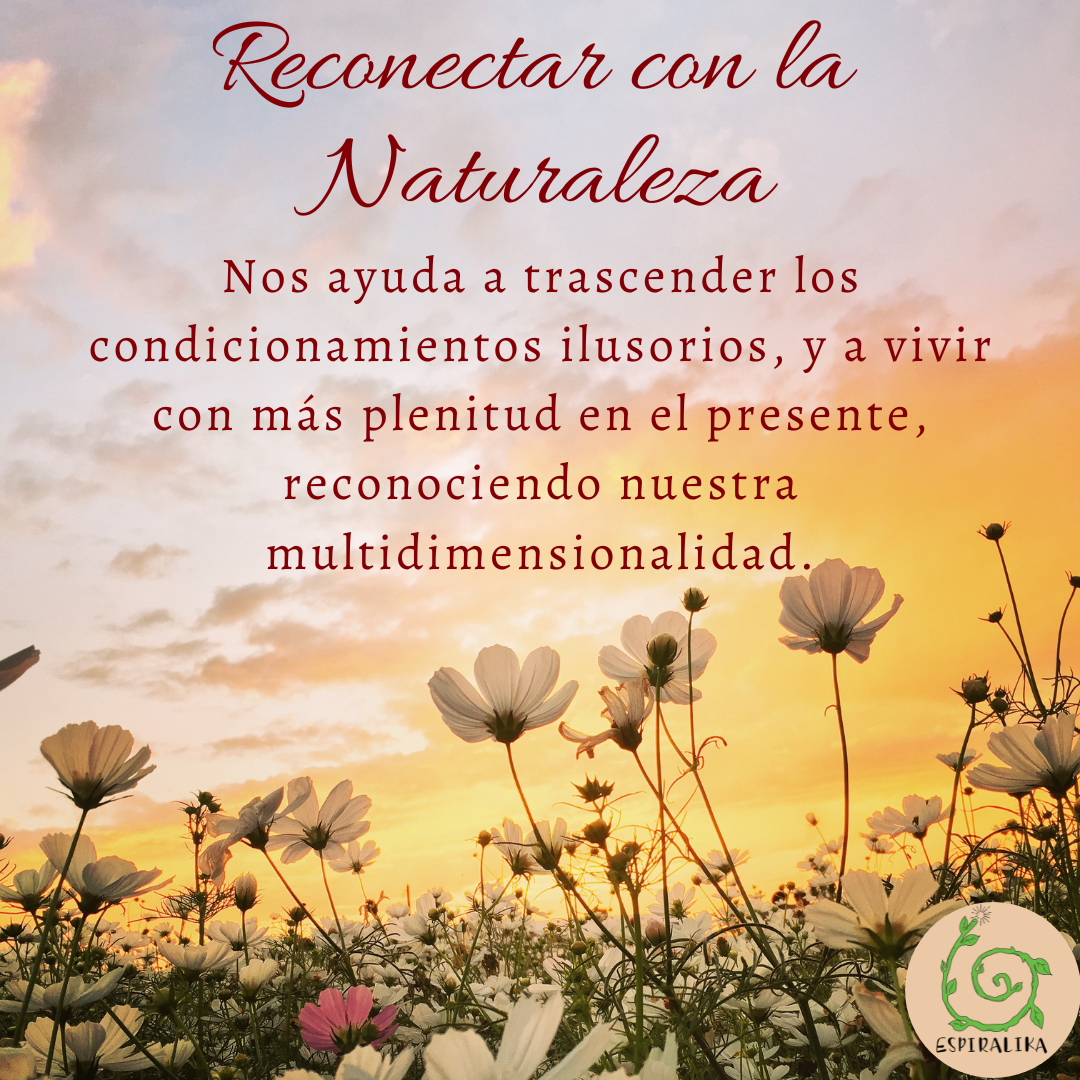 Reconectar con la Naturaleza