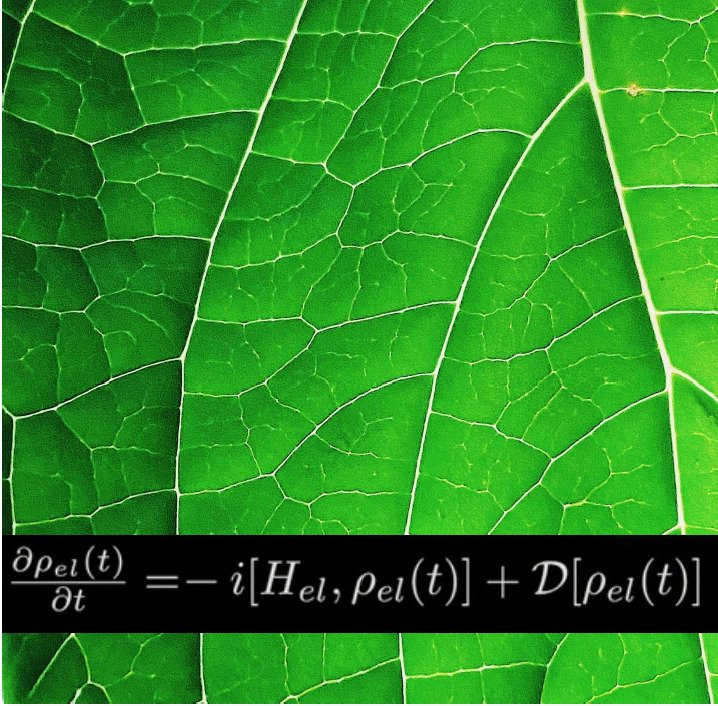 Aprendiendo mecánica cuántica de las plantas